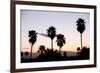 Silhouette of Palm Trees at Dusk, Palm Springs, Riverside County, California, USA-null-Framed Photographic Print