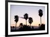 Silhouette of Palm Trees at Dusk, Palm Springs, Riverside County, California, USA-null-Framed Photographic Print