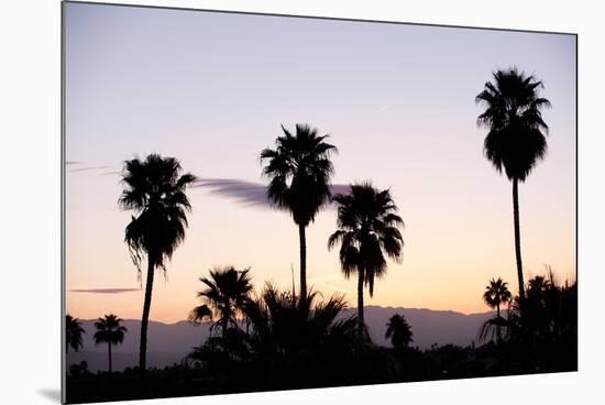 Silhouette of Palm Trees at Dusk, Palm Springs, Riverside County, California, USA-null-Mounted Photographic Print