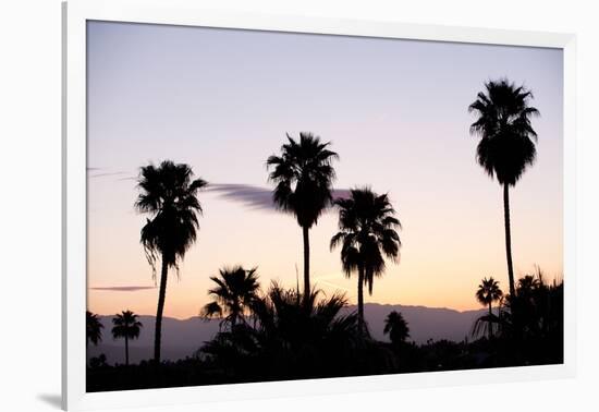 Silhouette of Palm Trees at Dusk, Palm Springs, Riverside County, California, USA-null-Framed Photographic Print