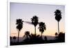 Silhouette of Palm Trees at Dusk, Palm Springs, Riverside County, California, USA-null-Framed Photographic Print
