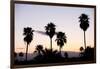 Silhouette of Palm Trees at Dusk, Palm Springs, Riverside County, California, USA-null-Framed Photographic Print