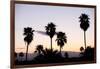 Silhouette of Palm Trees at Dusk, Palm Springs, Riverside County, California, USA-null-Framed Photographic Print