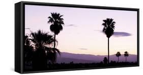 Silhouette of Palm Trees at Dusk, Palm Springs, Riverside County, California, USA-null-Framed Stretched Canvas