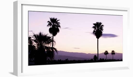 Silhouette of Palm Trees at Dusk, Palm Springs, Riverside County, California, USA-null-Framed Photographic Print