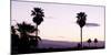 Silhouette of Palm Trees at Dusk, Palm Springs, Riverside County, California, USA-null-Mounted Photographic Print