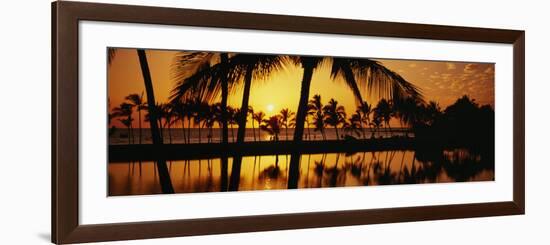 Silhouette of Palm Trees at Sunset, Anaeho Omalu Bay, Waikoloa, Hawaii, USA-null-Framed Photographic Print