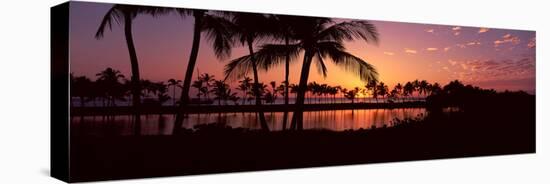 Silhouette of Palm Trees at Sunset, Anaehoomalu Bay, Waikoloa, Hawaii, USA-null-Stretched Canvas