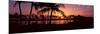Silhouette of Palm Trees at Sunset, Anaehoomalu Bay, Waikoloa, Hawaii, USA-null-Mounted Photographic Print