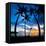 Silhouette of Palm Trees at Sunset, Nippah Beach, Lombok, Indonesia, Southeast Asia, Asia-Matthew Williams-Ellis-Framed Stretched Canvas