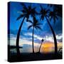 Silhouette of Palm Trees at Sunset, Nippah Beach, Lombok, Indonesia, Southeast Asia, Asia-Matthew Williams-Ellis-Stretched Canvas