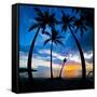 Silhouette of Palm Trees at Sunset, Nippah Beach, Lombok, Indonesia, Southeast Asia, Asia-Matthew Williams-Ellis-Framed Stretched Canvas