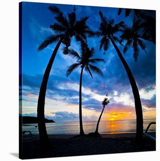 Silhouette of Palm Trees at Sunset, Nippah Beach, Lombok, Indonesia, Southeast Asia, Asia-Matthew Williams-Ellis-Stretched Canvas