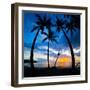 Silhouette of Palm Trees at Sunset, Nippah Beach, Lombok, Indonesia, Southeast Asia, Asia-Matthew Williams-Ellis-Framed Premium Photographic Print