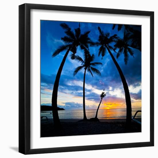 Silhouette of Palm Trees at Sunset, Nippah Beach, Lombok, Indonesia, Southeast Asia, Asia-Matthew Williams-Ellis-Framed Premium Photographic Print