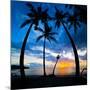 Silhouette of Palm Trees at Sunset, Nippah Beach, Lombok, Indonesia, Southeast Asia, Asia-Matthew Williams-Ellis-Mounted Premium Photographic Print