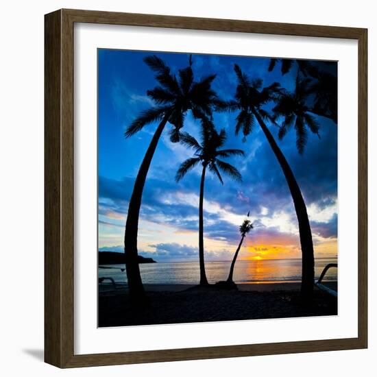 Silhouette of Palm Trees at Sunset, Nippah Beach, Lombok, Indonesia, Southeast Asia, Asia-Matthew Williams-Ellis-Framed Photographic Print