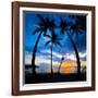 Silhouette of Palm Trees at Sunset, Nippah Beach, Lombok, Indonesia, Southeast Asia, Asia-Matthew Williams-Ellis-Framed Photographic Print