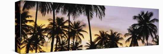 Silhouette of Palm Trees at Sunset, Pigeon Point Beach, Tobago-null-Stretched Canvas