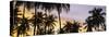 Silhouette of Palm Trees at Sunset, Pigeon Point Beach, Tobago-null-Stretched Canvas