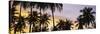 Silhouette of Palm Trees at Sunset, Pigeon Point Beach, Tobago-null-Stretched Canvas