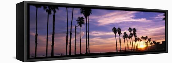 Silhouette of Palm Trees at Sunset, Santa Barbara, California, USA-null-Framed Stretched Canvas