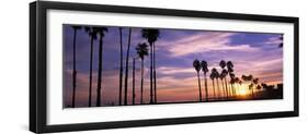 Silhouette of Palm Trees at Sunset, Santa Barbara, California, USA-null-Framed Photographic Print