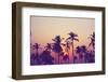 Silhouette of Palm Trees at Sunset, Vintage Filter-grop-Framed Photographic Print