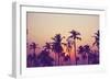 Silhouette of Palm Trees at Sunset, Vintage Filter-grop-Framed Photographic Print