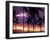 Silhouette of Palm Trees, Hawaii-Mitch Diamond-Framed Photographic Print