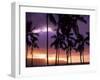 Silhouette of Palm Trees, Hawaii-Mitch Diamond-Framed Photographic Print