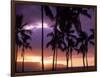 Silhouette of Palm Trees, Hawaii-Mitch Diamond-Framed Photographic Print