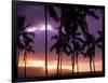 Silhouette of Palm Trees, Hawaii-Mitch Diamond-Framed Photographic Print