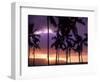 Silhouette of Palm Trees, Hawaii-Mitch Diamond-Framed Photographic Print