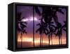 Silhouette of Palm Trees, Hawaii-Mitch Diamond-Framed Stretched Canvas