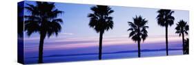 Silhouette of palm trees, Laguna Beach, Orange County, California, USA-null-Stretched Canvas