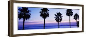 Silhouette of palm trees, Laguna Beach, Orange County, California, USA-null-Framed Photographic Print