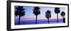 Silhouette of palm trees, Laguna Beach, Orange County, California, USA-null-Framed Photographic Print