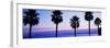 Silhouette of palm trees, Laguna Beach, Orange County, California, USA-null-Framed Photographic Print
