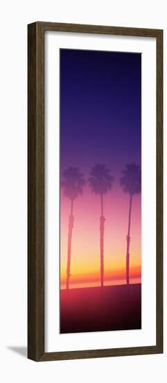 Silhouette of palm trees on beach during fog at sunset, Santa Barbara, California, USA-null-Framed Photographic Print