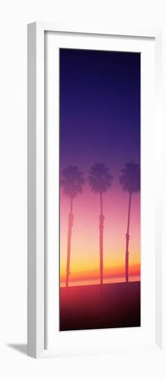Silhouette of palm trees on beach during fog at sunset, Santa Barbara, California, USA-null-Framed Photographic Print