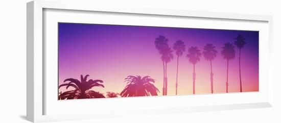 Silhouette of palm trees on beach during fog at sunset, Santa Barbara, California, USA-null-Framed Photographic Print