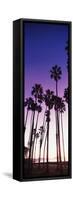 Silhouette of palm trees on beach, Santa Barbara, California, USA-null-Framed Stretched Canvas