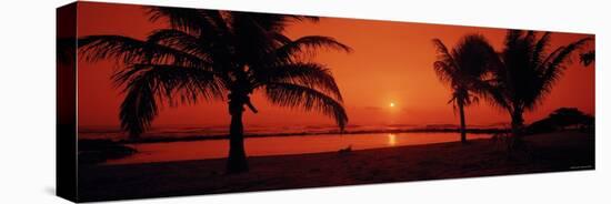 Silhouette of Palm Trees on the Beach at Dusk, Lydgate Park, Kauai, Hawaii, USA-null-Stretched Canvas