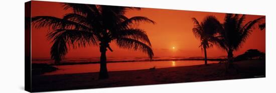 Silhouette of Palm Trees on the Beach at Dusk, Lydgate Park, Kauai, Hawaii, USA-null-Stretched Canvas