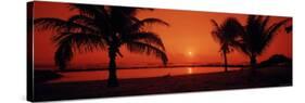 Silhouette of Palm Trees on the Beach at Dusk, Lydgate Park, Kauai, Hawaii, USA-null-Stretched Canvas