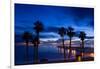 Silhouette of Palm Trees on the Beach, Laguna Beach, California, USA-null-Framed Photographic Print