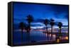 Silhouette of Palm Trees on the Beach, Laguna Beach, California, USA-null-Framed Stretched Canvas