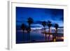 Silhouette of Palm Trees on the Beach, Laguna Beach, California, USA-null-Framed Photographic Print