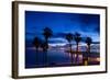 Silhouette of Palm Trees on the Beach, Laguna Beach, California, USA-null-Framed Photographic Print